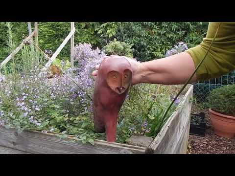 YouTube-Video-Thumbnail