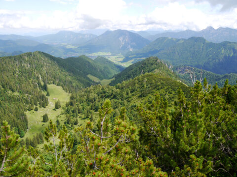 In den Alpen