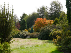 Arboretum Nymans Garden