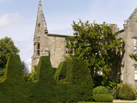 Ruine in Nymans Garden, mit Hecken-Mauer-Topiary