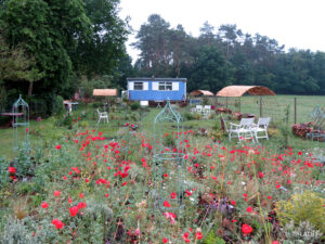 Mohn im Poetischen Garten vor dem Bauwagen