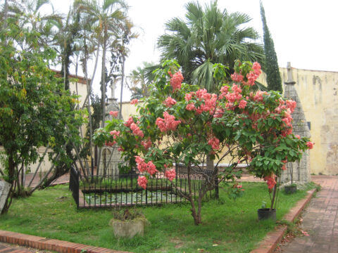 Park in Santo Domingo, Dominikanische Republik