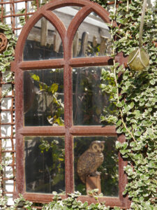 Eulengarten, Martina Krause, Braunschweig