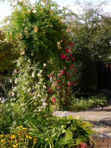Rosenbogen am Terrassenweg, Eulengarten Martina Krause, Braunschweig