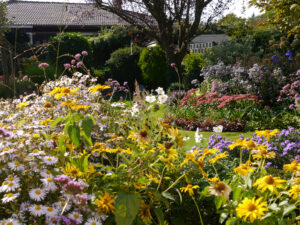 Staudenbeete, Eulengarten, Martina Krause, Braunschweig