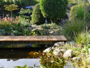 Teich im Eulengarten, Martina Krause, Braunschweig