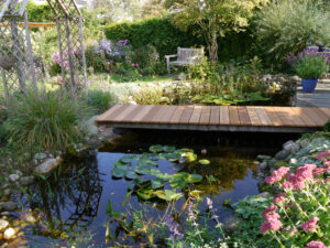 Teich im Eulengarten, Martina Krause, Braunschweig