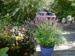 Auf dem Holzdeck im Eulengarten, Martina Krause, Braunschweig
