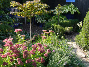 Teichbeet im Eulengarten, Martina Krause, Braunschweig