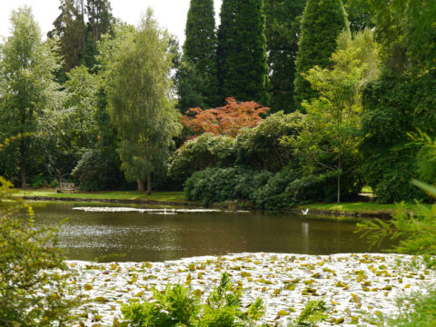 Sheffield Park and Garden, East Sussex