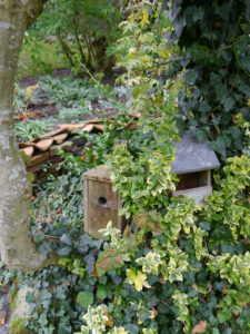Nistmöglichkeiten im Schattengarten, Landidyll-Tjarks, Friedeburg