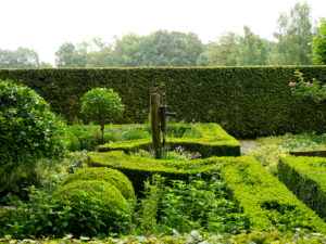 Küchengarten, Dina Deferme, Belgien