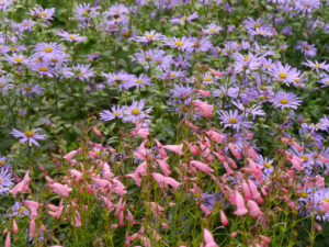 Henry Price Memorial Garden, Walled Garden, Wakehurst, West-Sussex