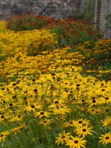 Mauergarten, Wakehurst, West Sussex