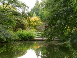 Wassergarten, Wakehurst, West-Sussex