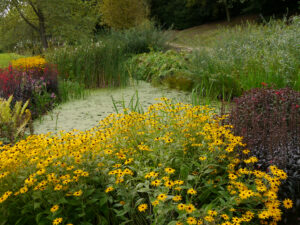 Wassergarten von Wakehurst, West-Sussex