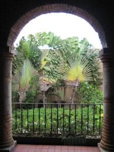 Ravenala, Baum der Reisenden, Innenhof Museo de las Casas Reales, Santo Domingo