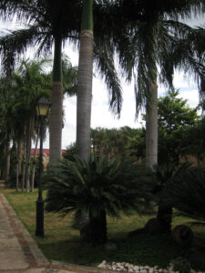 Fortaleza Ozama, Santo Domingo