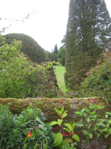 Yew Garden, Eibengarten, Packwood House