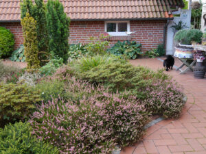 Vorgarten, Fehngarten Koska