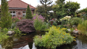 Koiteich im Fehngarten Ulrike Koska