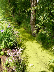 Wassergraben im Garten Moorriem