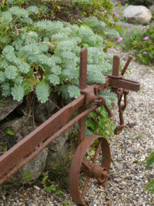 Euphorbia myrsinitis, SARASTRO Staudengärtnerei und Schaugarten