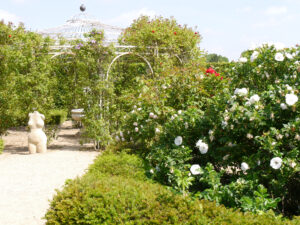 "RosenZeiten im Garten", Park der Gärten, Bad Zwischenahn