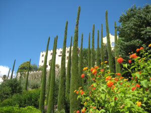 Cupressus sempervirens, Mittelmeer-Zypressen, Lantana camara, Wandelröschen, vor Schloss Trauttmansdorff, Meran