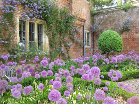 Greys Court -Oxfordshire