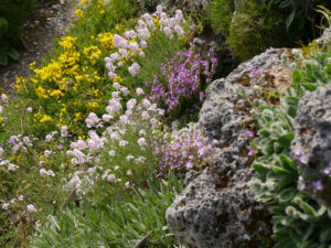 Alpinum des Botanischen Gartens München