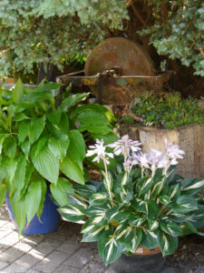 Eventbereich  im Landhausgarten Hantelmann