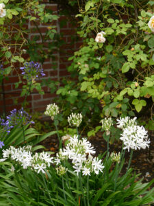 Der Event-Bereich im Landhausgarten Hantelmann