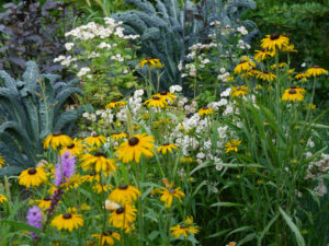 Der Küchengarten des Landhausgartens Hantelmann