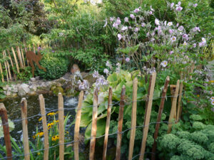 Teich im Landhausgarten Hantelmann