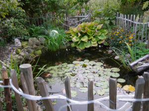 Teich im Landhausgarten Hantelmann
