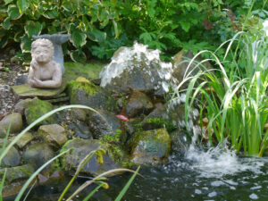 Teich im Landhausgarten Hantelmann