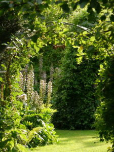 Durchgang zum Sonnengarten des Landhausgartens Hantelmann