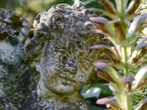 Putte hinter Akanthusblüte im Landhaus Hantelmann