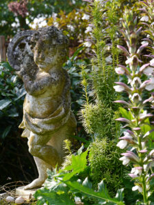 Putte und Akanthus im Landhausgarten Hantelmann