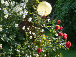 Rosenparadies im Landhausgarten Hantelmann
