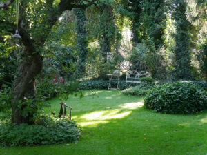 Schattengarten im Landhausgarten Hantelmann