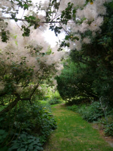 Schattengarten im Landhausgarten Hantelmann