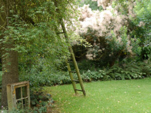 Schattengarten im Landhausgarten Hantelmann