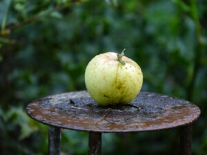 Irmgards Dekoküche im Landhausgarten Hantelmann