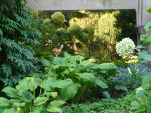 Einfahrt in den Landhausgarten Hantelmann