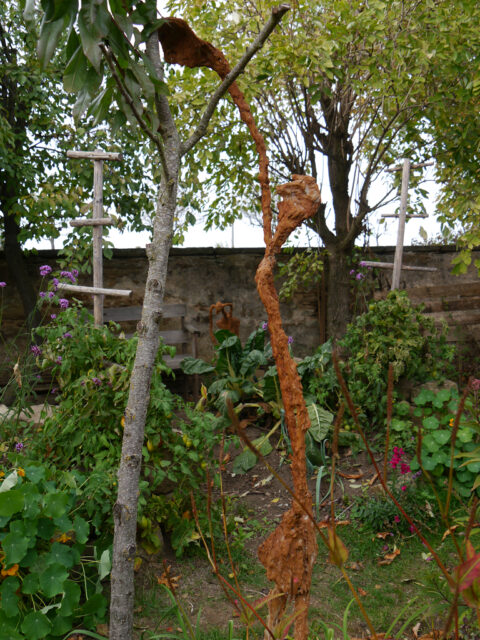 "Der Obstpflücker" Skulptur von Reinhard Schneider 2018 im Garten Pecoraro-Schneider