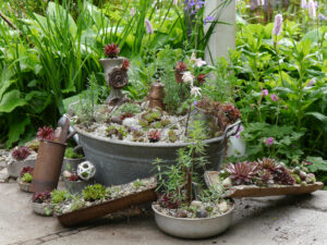 Wurzerlküche mit Sempervivum-Bepflanzung auf Terrasse in Wurzerlsgarten