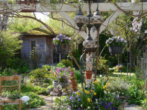 Frühlingsblüher auf der Terrasse von Wurzerlsgarten