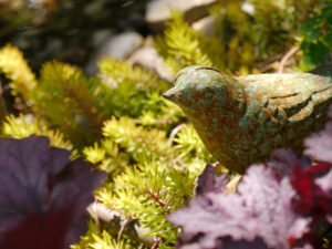 Heuchera und Sedum brauchen keine Blüten in Wurzerlsgarten